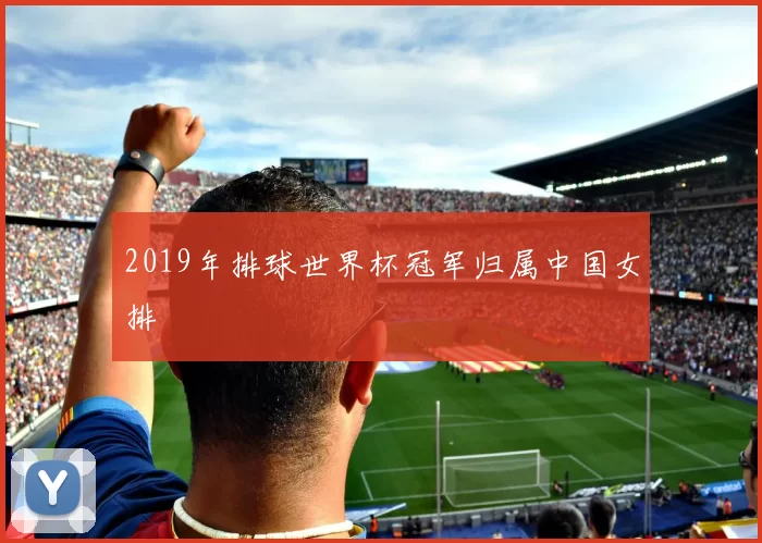 2019年排球世界杯冠军归属中国女排
