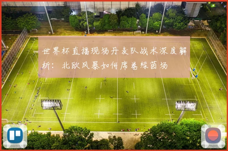 世界杯直播现场丹麦队战术深度解析:北欧风暴如何席卷绿茵场