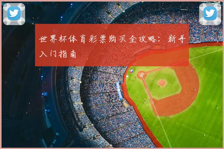 世界杯体育彩票购买全攻略：新手入门指南