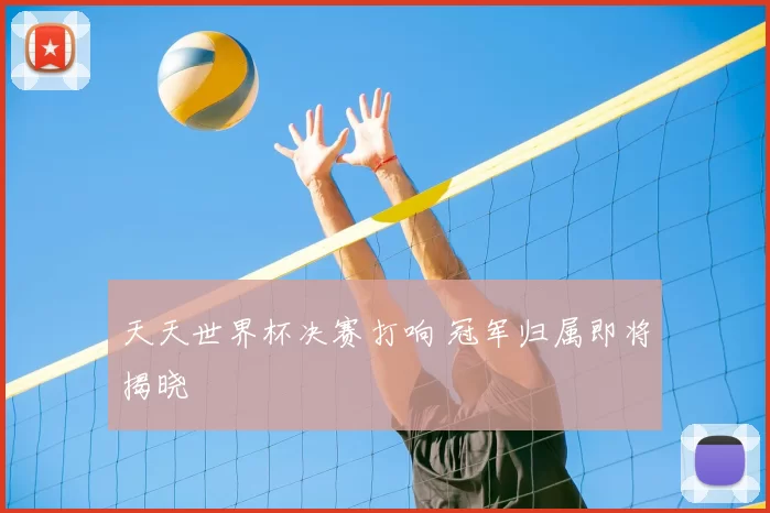 天天世界杯决赛打响 冠军归属即将揭晓