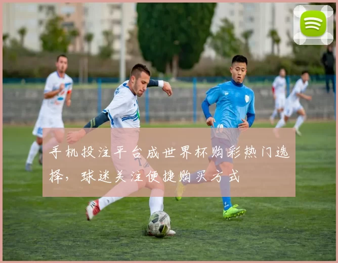 手机投注平台成世界杯购彩热门选择,球迷关注便捷购买方式