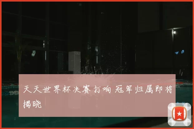 天天世界杯决赛打响 冠军归属即将揭晓