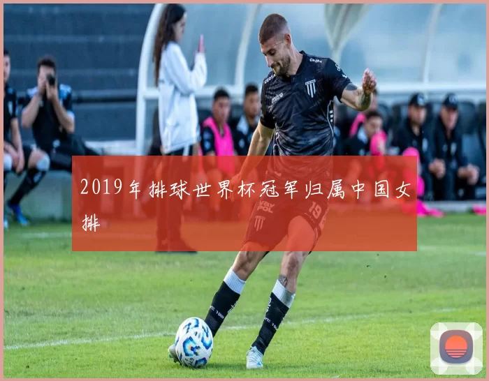 2019年排球世界杯冠军归属中国女排