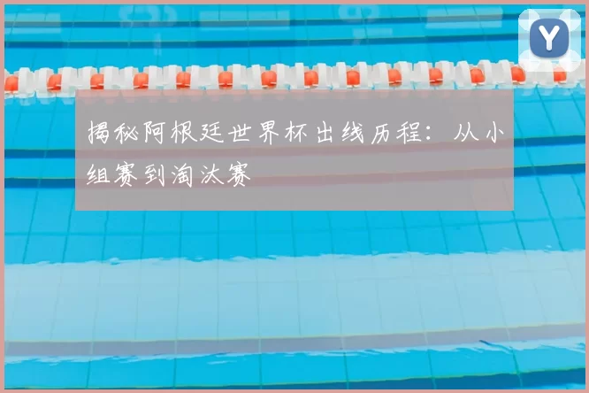 揭秘阿根廷世界杯出线历程：从小组赛到淘汰赛