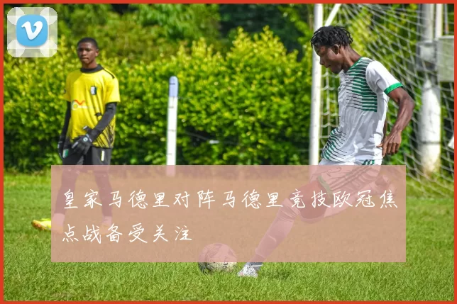 皇家马德里对阵马德里竞技欧冠焦点战备受关注