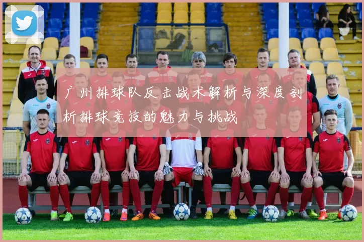 广州排球队反击战术解析与深度剖析排球竞技的魅力与挑战