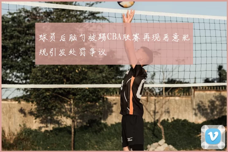 球员后脑勺被踢CBA联赛再现恶意犯规引发处罚争议